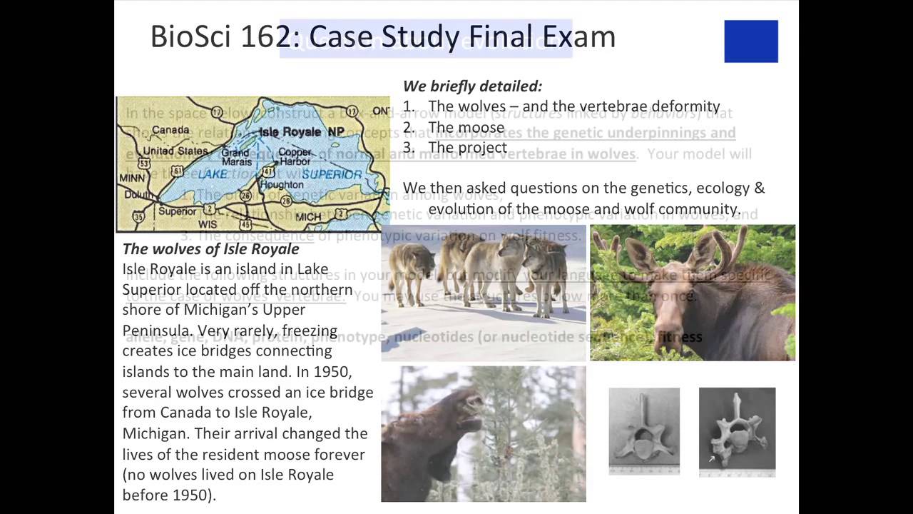 Evidence-based Teaching - Just Facts or Thinking Like Researchers