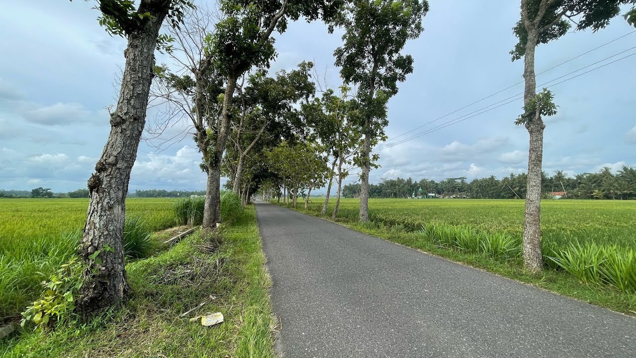 DROP BARANG SELESAI !!!! PULANG SORE LEWAT TEPIAN SAWAH