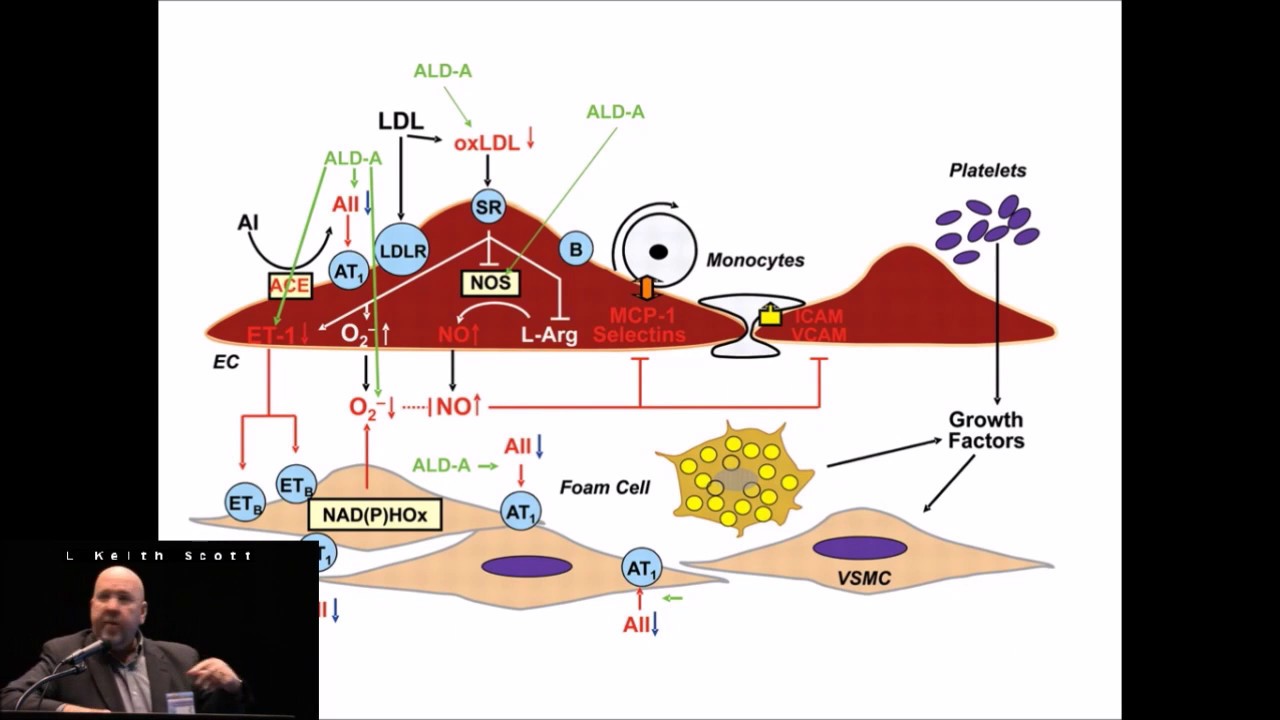 Anticoagulation & Bleeding in the ECMO Patient