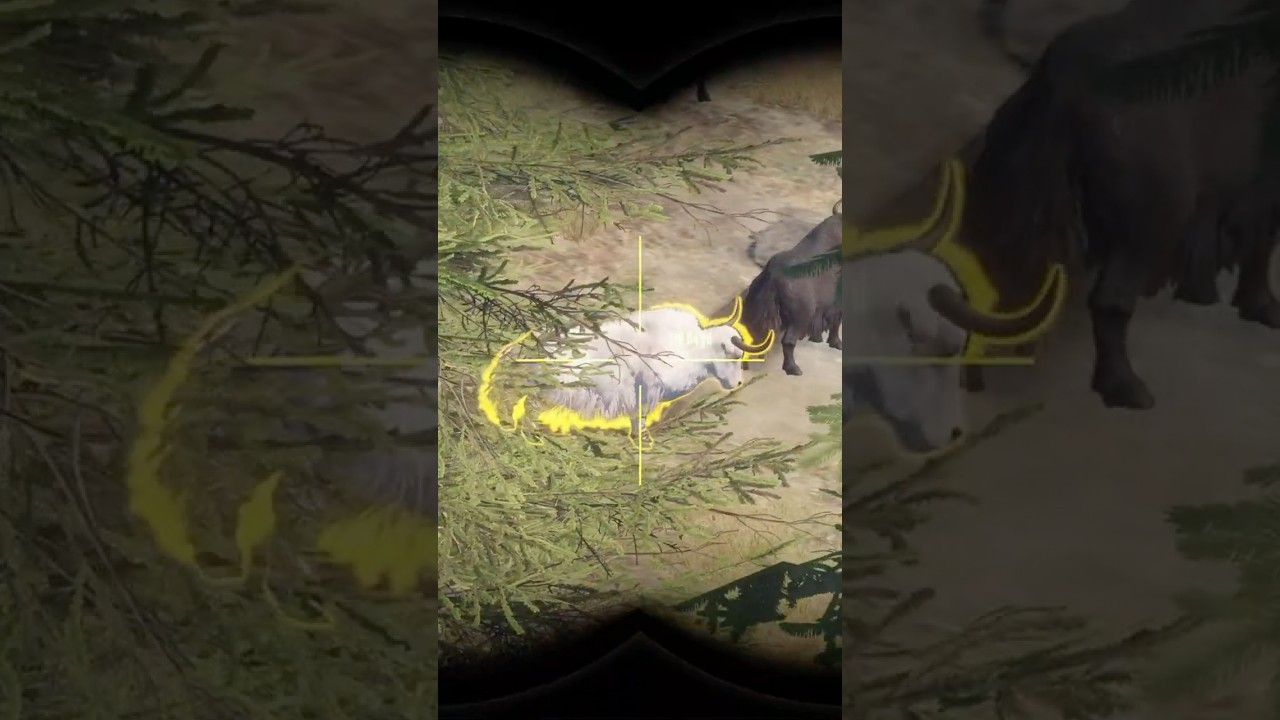 Albino SUPER RARE 💎 YAK Diamond 👀 -  theHunter: Call of the Wild #shorts