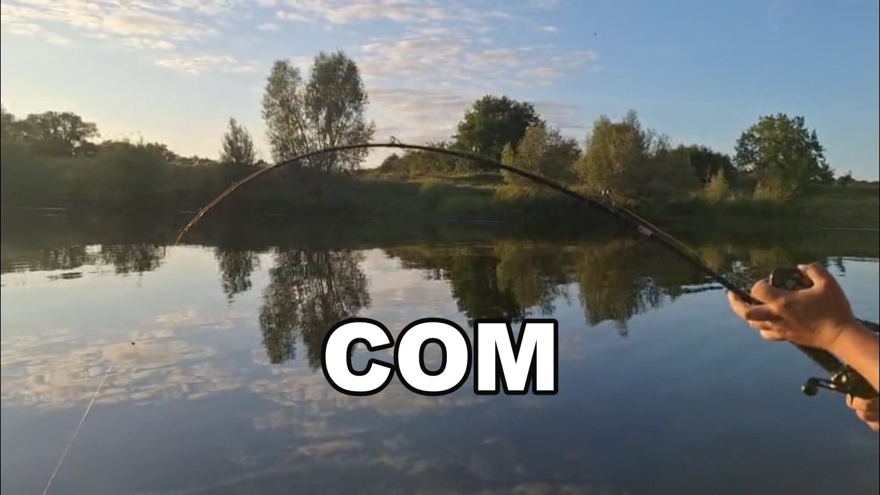 речной монстр .