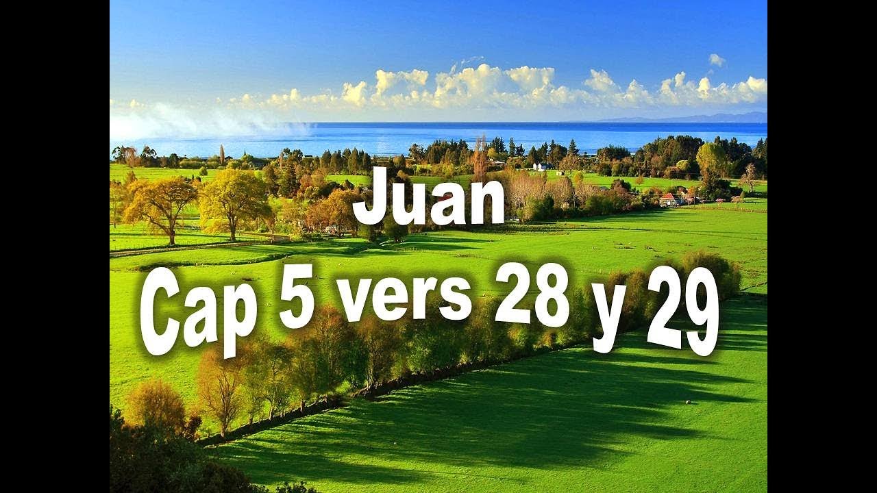 Juan cap 5 vers 28 y  29
