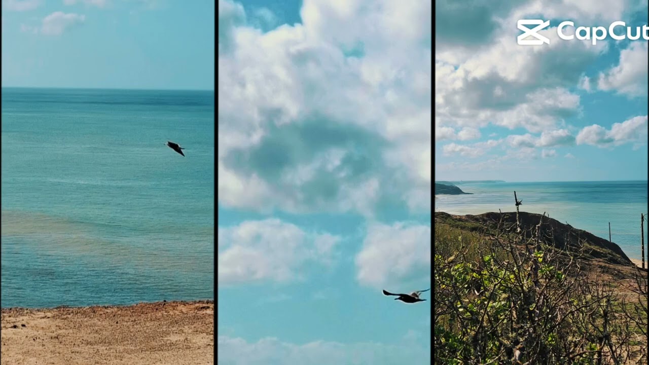 Oceano Atl&acirc;ntico . Portugal