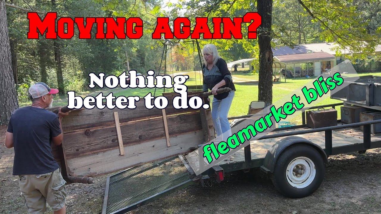 Распродажа на блошином рынке и проблема с засохшим деревом #благотворительность #аукцион #сделай ...