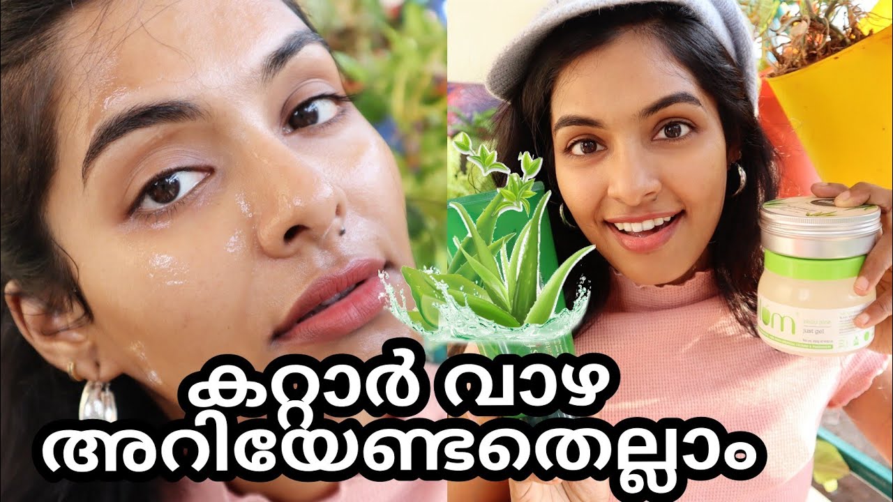 How I use Aloe Vera Gel for skincare and haircare|Best 99% pure Aloe vera gel|Asvi Malayalam