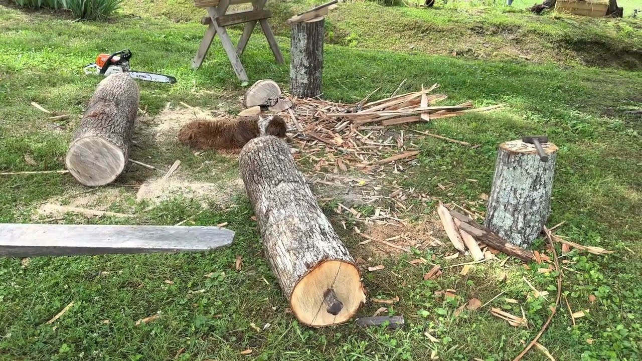 Riving white oak tobacco sticks
