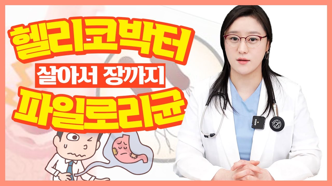 헬리코박터균의 원인과 증상 그리고 치료 방법까지!