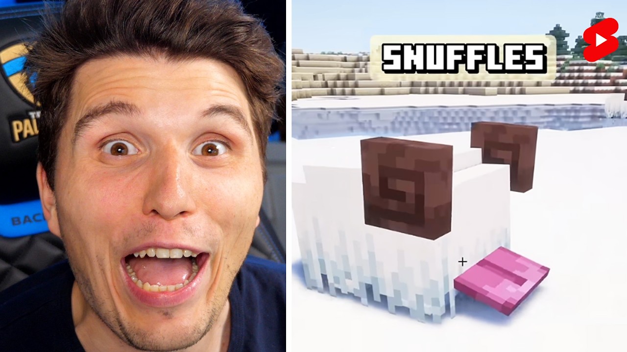 Paluten guckt Shorts bis er die neuen Minecraft Mods testet