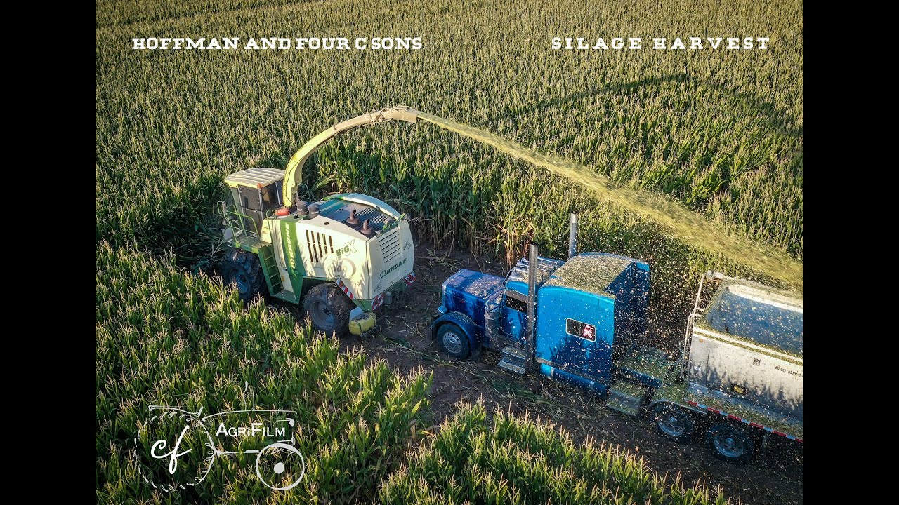 Hoffman + 4 C Sons Silage Harvest 2021