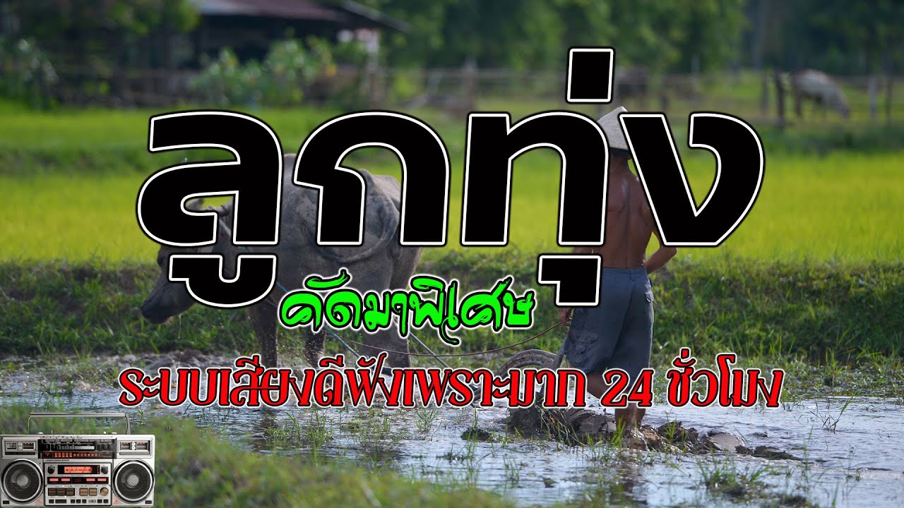 ลูกทุ่ง คัดมาพิเศษ ระบบเสียงดีฟังเพราะมาก 24 ชั่วโมง {เสียง HD}