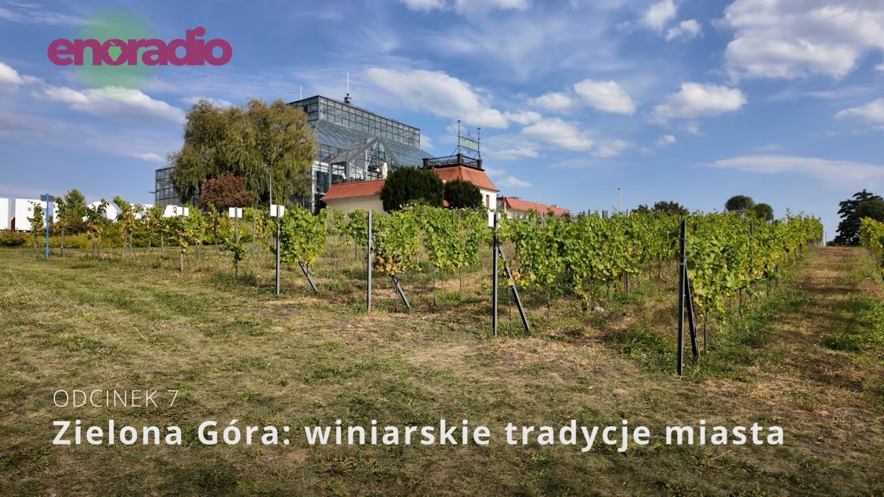 Odcinek 7: Zielona Góra – winiarskie tradycje miasta