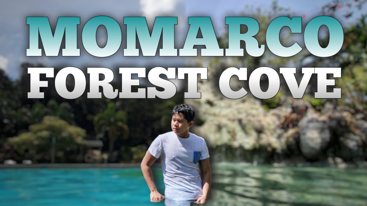 Momarco Forest Cove: A Hidden Gem, In A Hidden Paradise | #markgoesto