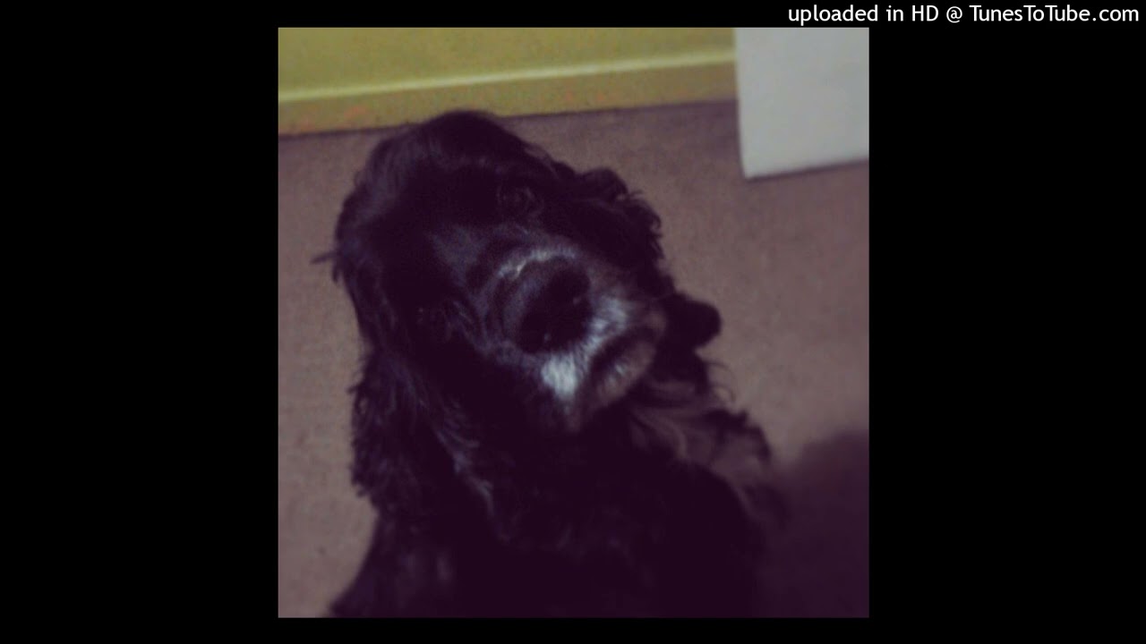 Ro - No Encuentro A Mi Perro