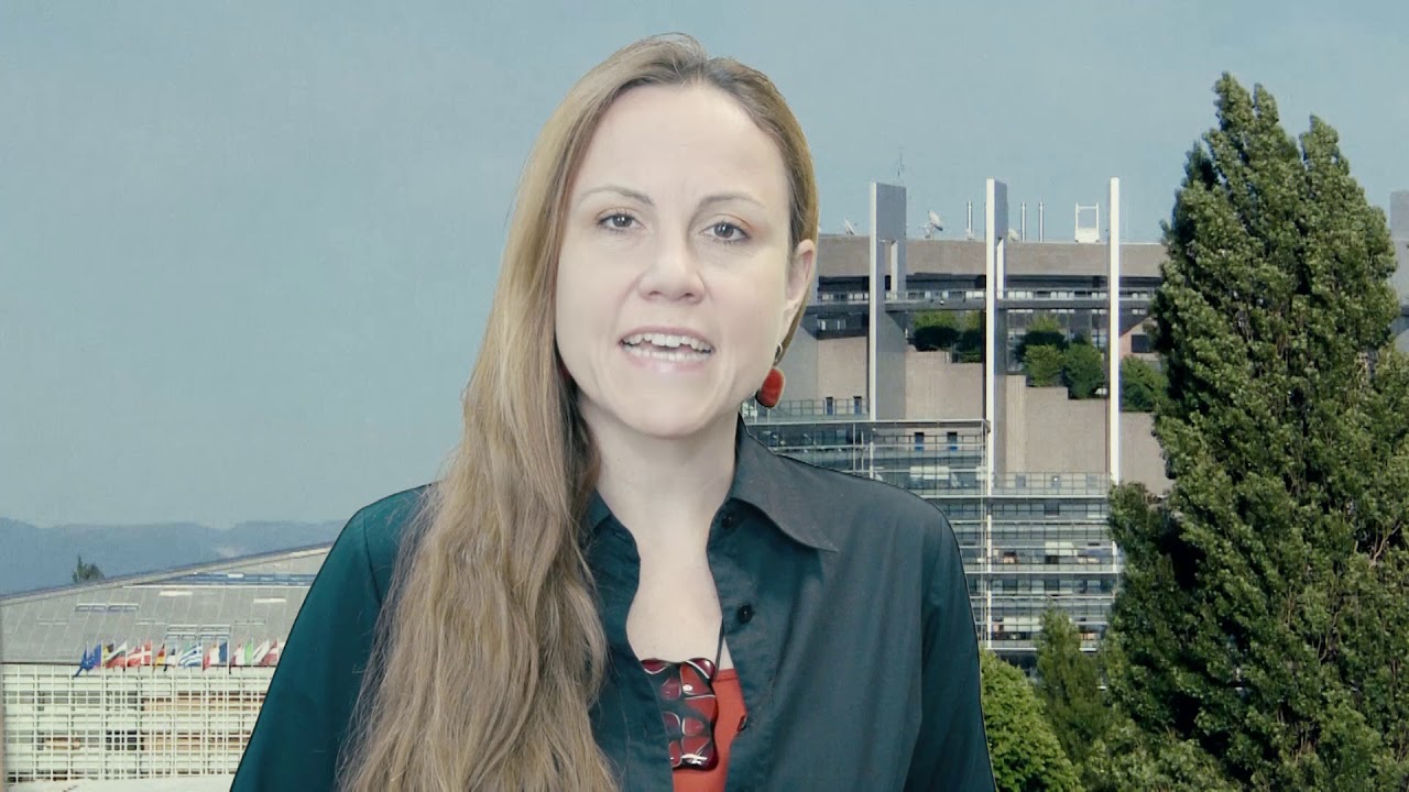 Polen im Europ&auml;ischen Parlament