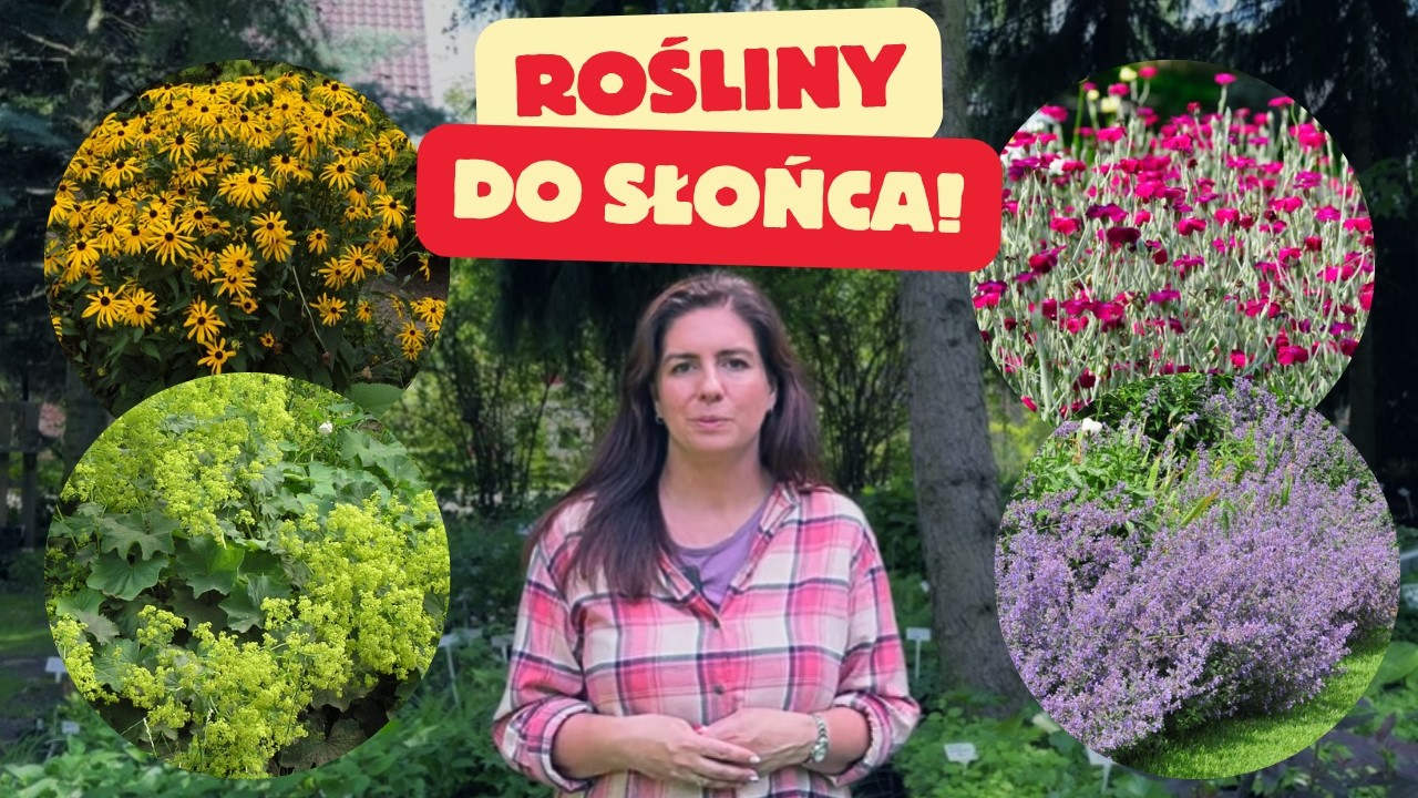 Niezawodna rabata w pełne słońce &ndash; te 4 byliny kwitną całe lato!