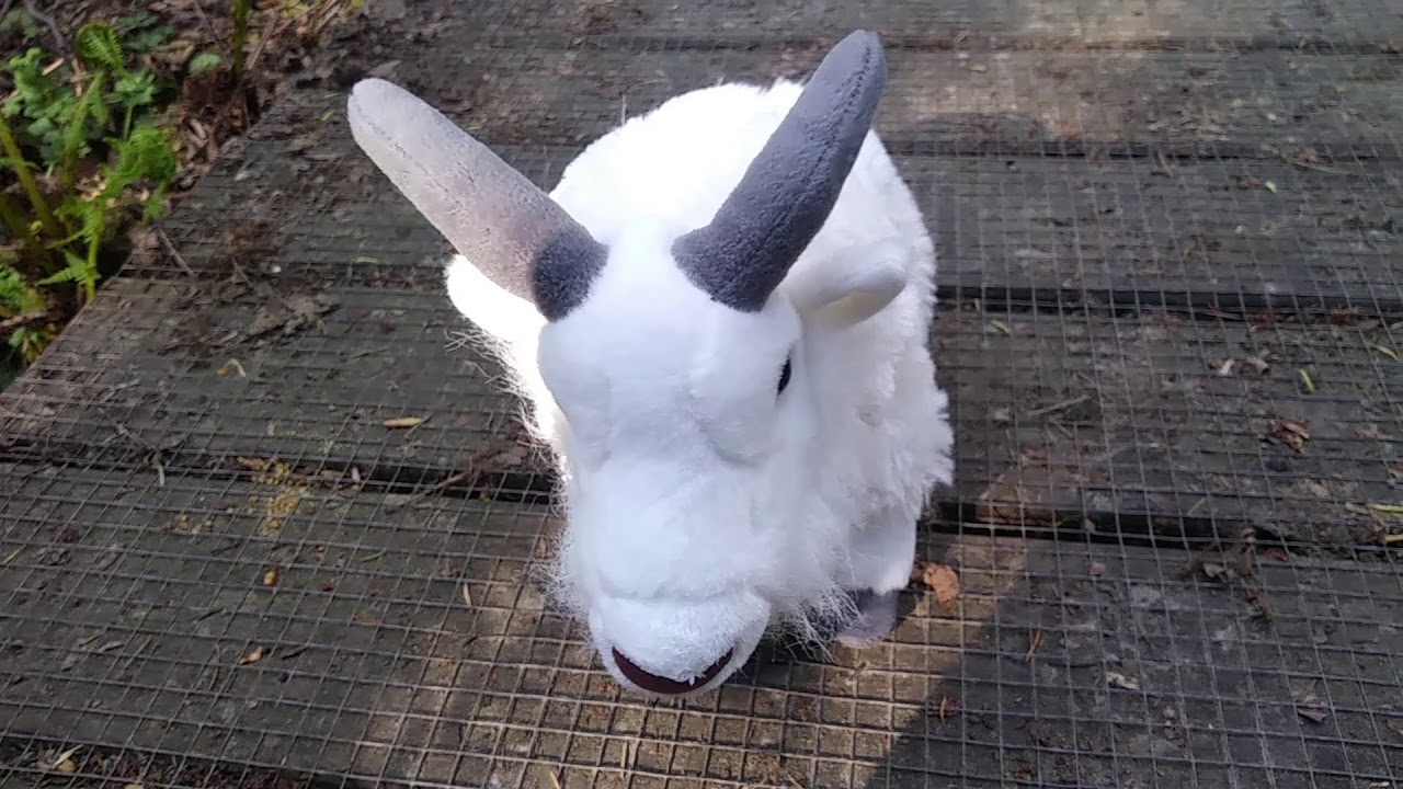 The Three Billy Goats Gruff