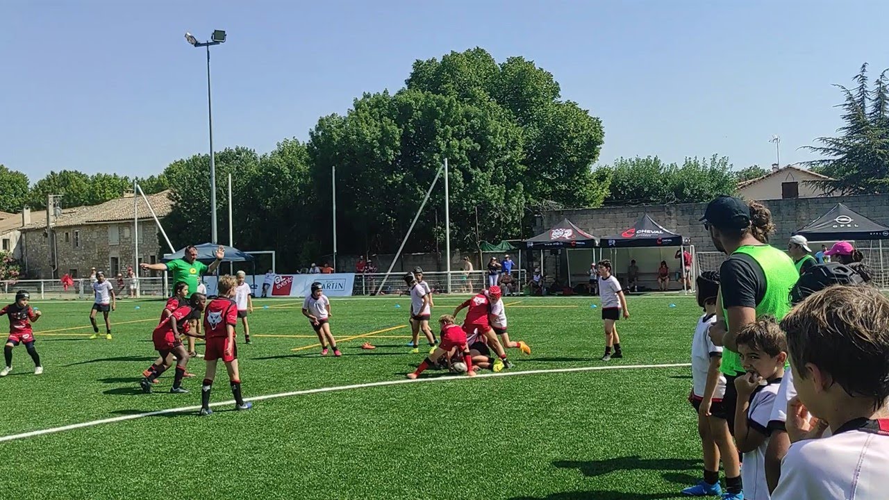 Ovalive LOU - Stade Toulousain