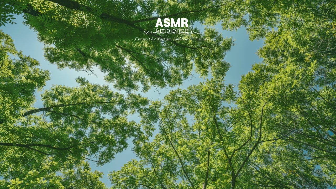 나뭇잎의 소란 ASMR