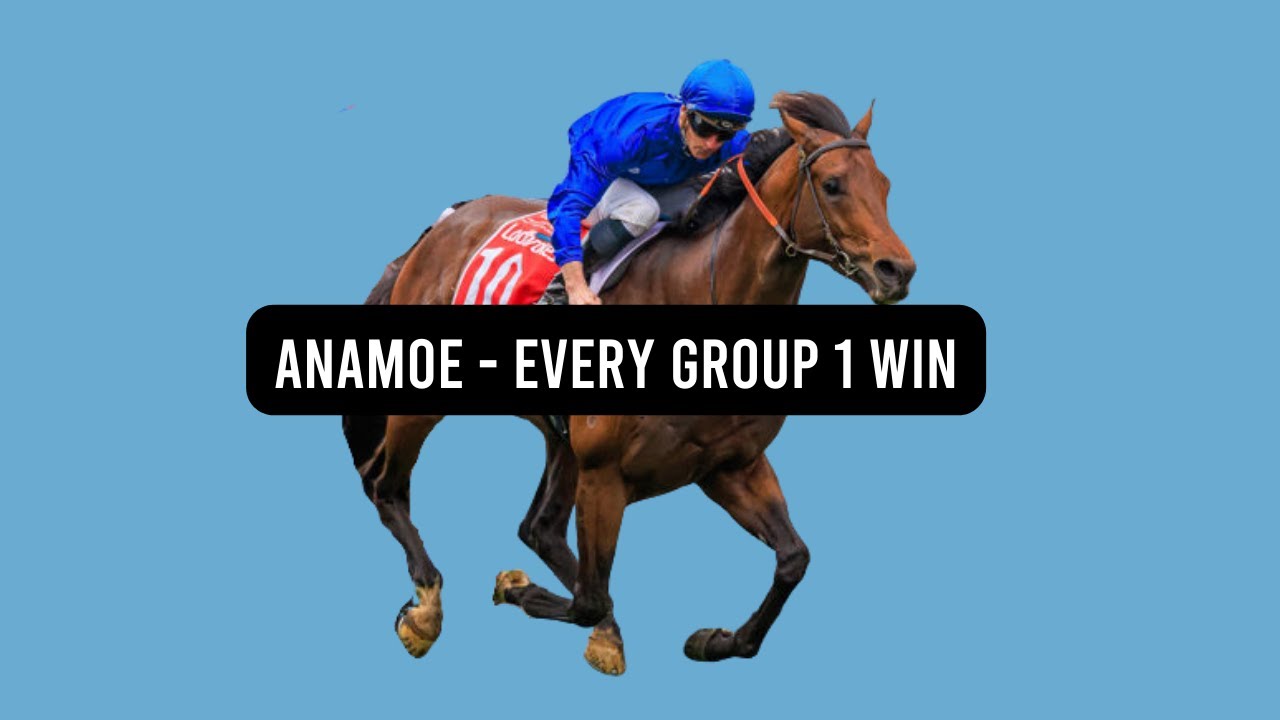 Anamoe Group 1 Race Wins: Relive Every Group 1 Win by the Champion Racehorse!
