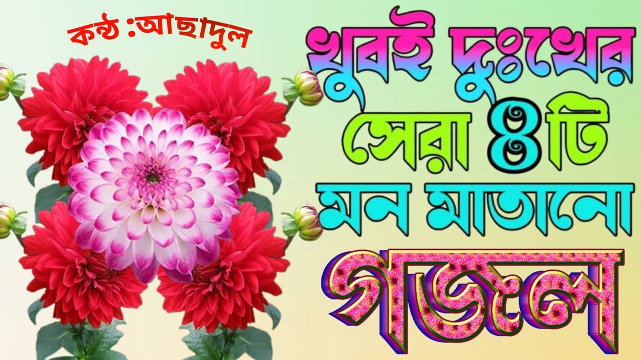 মন প্রাণ উজাড় করা ১৫ টি গজল |কলিজা শীতল করা নতুন গজল |New Islamic Gojol |Very Heart Touching Gojol