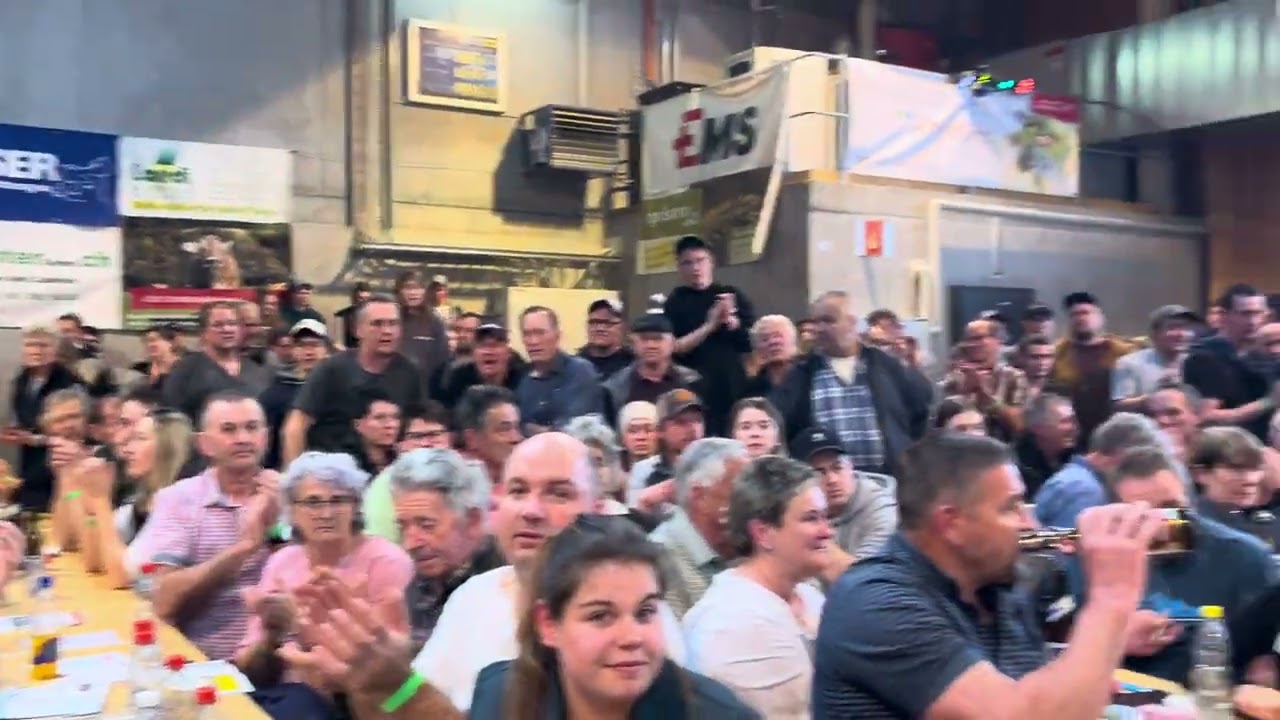 BS Masters 24 BS Championwahl