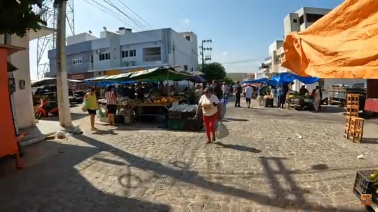 Feira Livre de Santa Terezinha PE em 16/12/2024 Feira boa e barata com 25 Manga por 10,00 #nordeste
