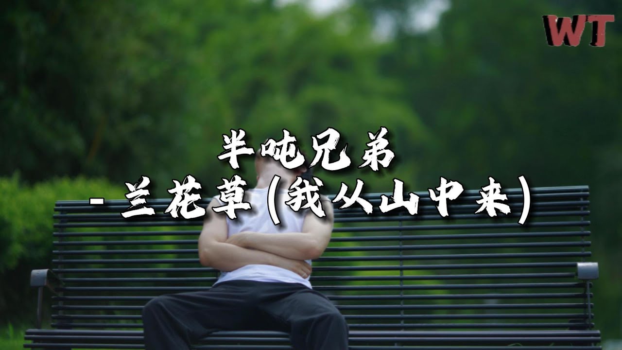 半吨兄弟 - 兰花草(我从山中来)『朝朝频顾惜 夜夜不相忘，期待春花开 能将夙愿偿。』【动态歌词MV】