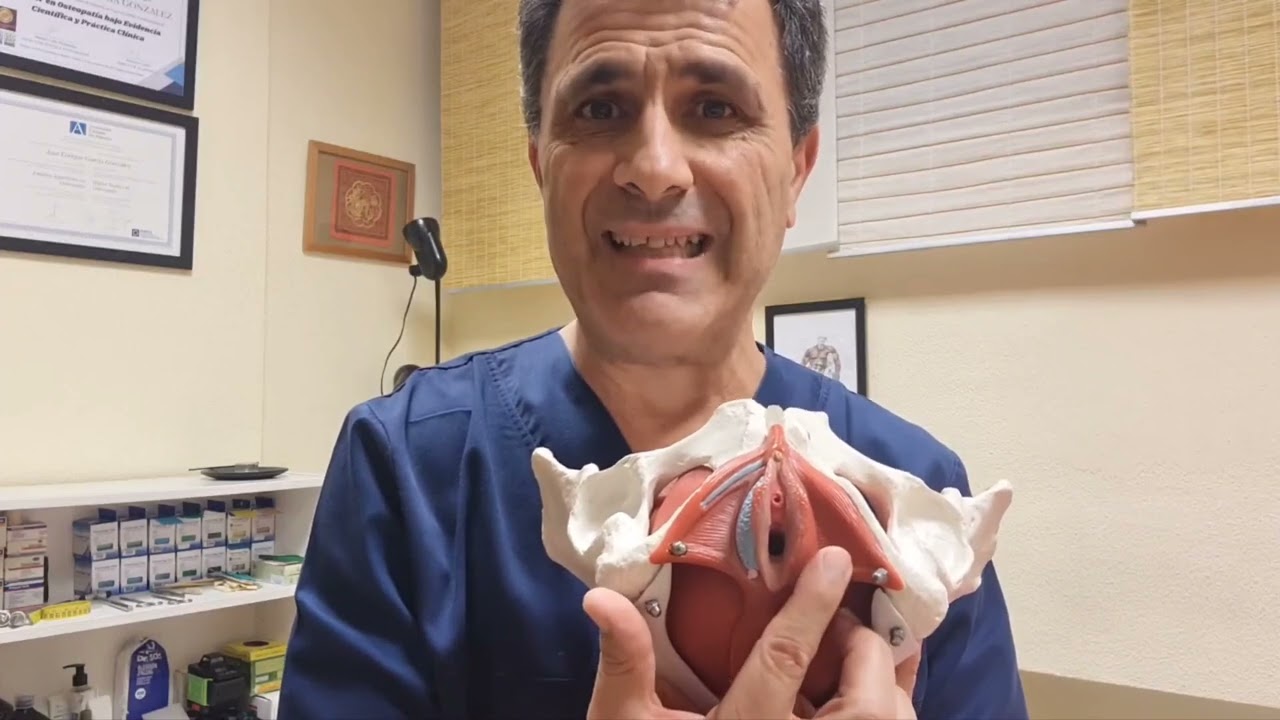 Dolor perineal y genital en la mujer