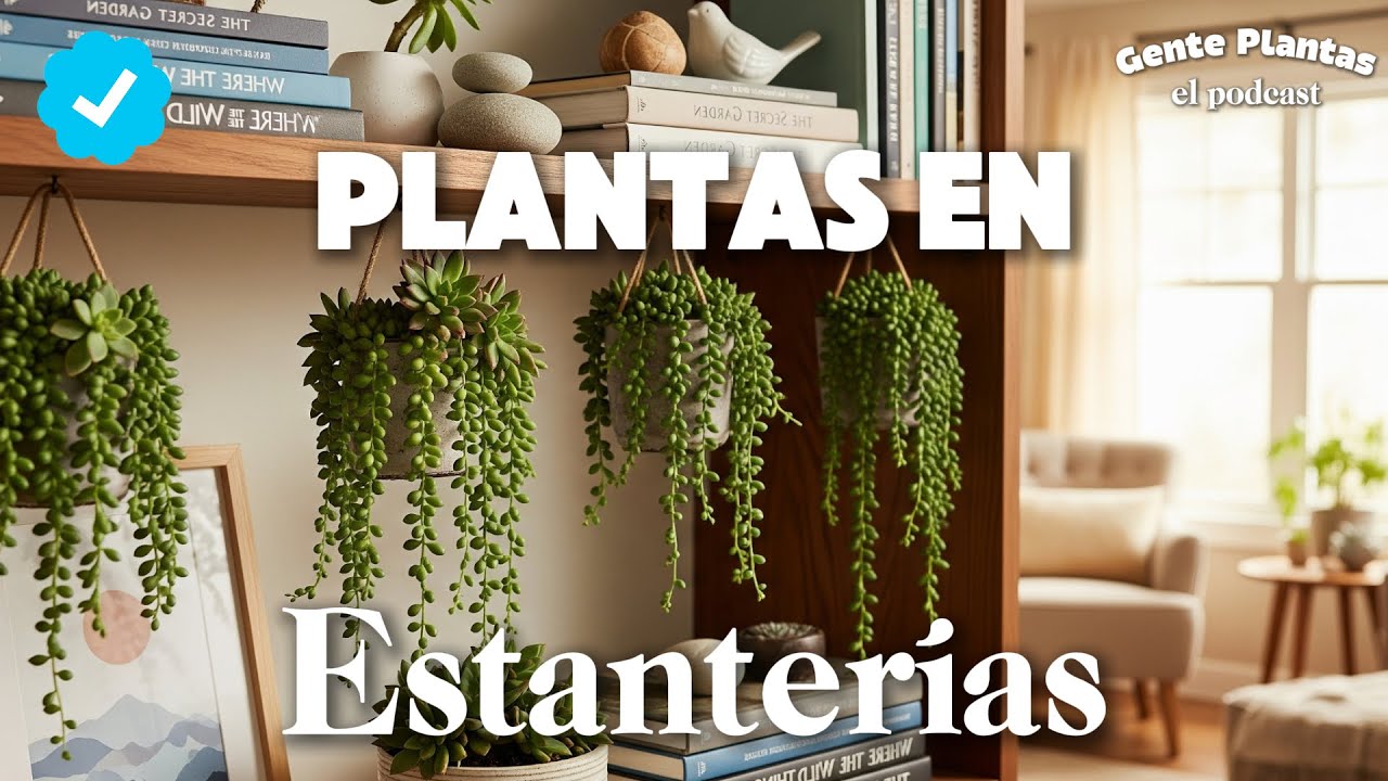 Plantas Colgantes Bien Elegidas | Gente Plantas