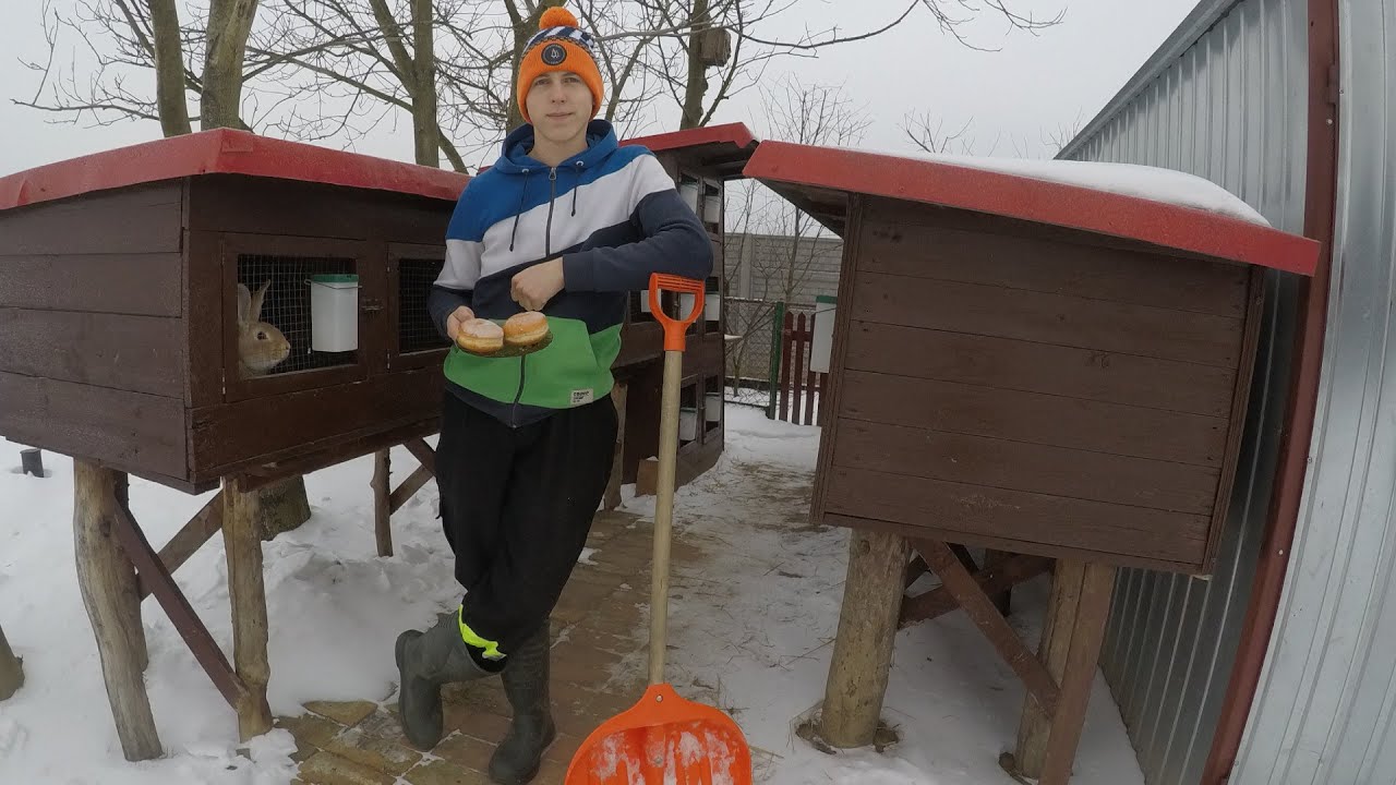 Popełniłem ogromy błąd w Hodowli Królików 🐇 Czy czwartek naprawdę jest tłusty? VLOG#21