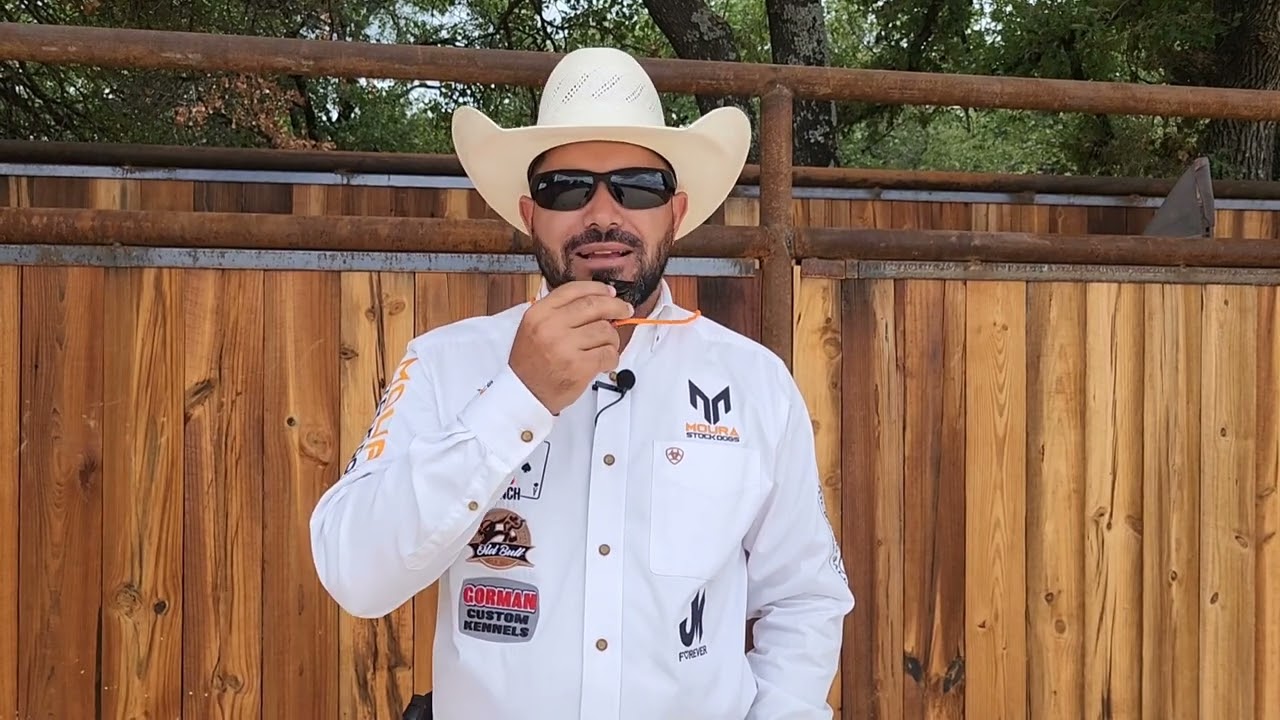 Whistle commands for our Stock dogs