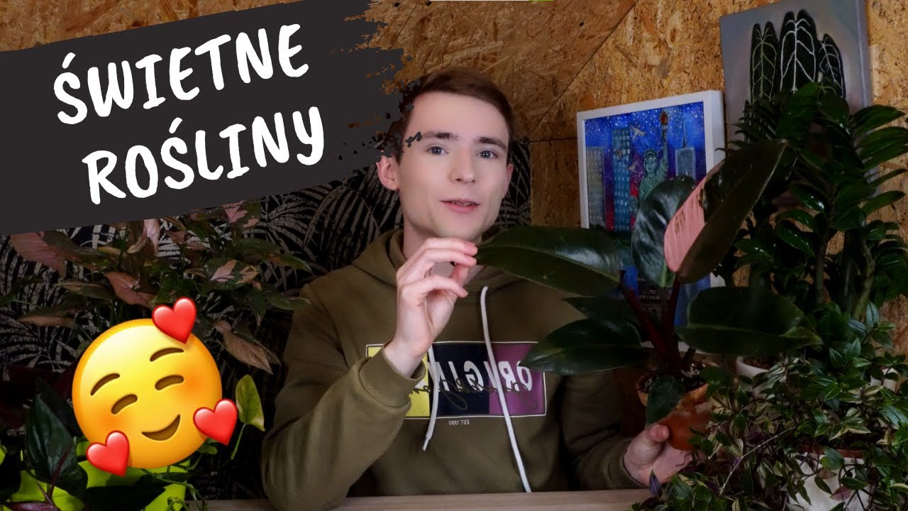 Świetne rośliny minionego roku