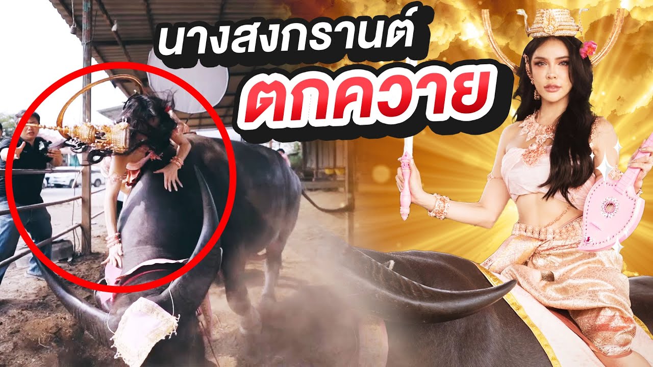 นางสงกรานต์ตกควาย!!!ไม่ตายก็กระดูกแตก😭😭😭  | Nisamanee.Nutt