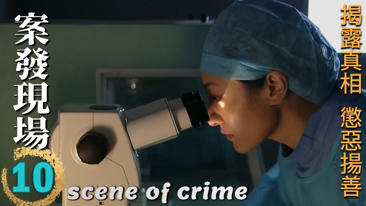 ENGSUB🔍《案發現場》第10集∣王志飛、顏世魁聯手解密驚天命案！陳甯助陣，刑偵大揭秘，誰是真凶？∣劉敏濤 劉霏霖 薛儼 田重 呂世平∣scene of crime EP10∣GC影視刑偵推理劇