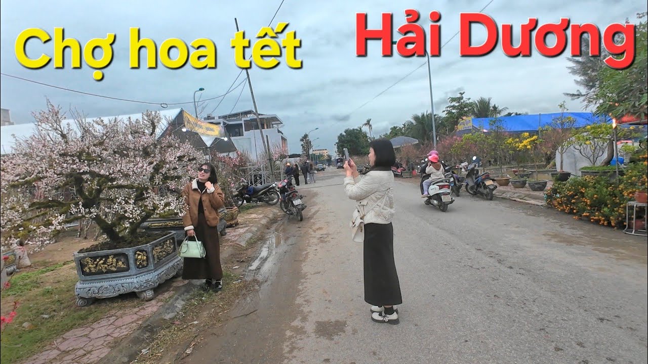 Càng gần Tết nhiều loại hoa lại đổ về chợ hoa Xuân