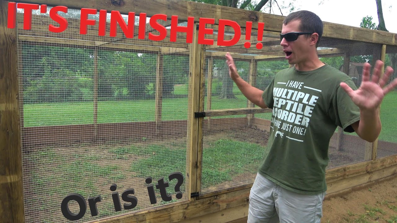 FINISHING the BIGGEST Enclosure YET! DIY Outdoor Enclosure 3