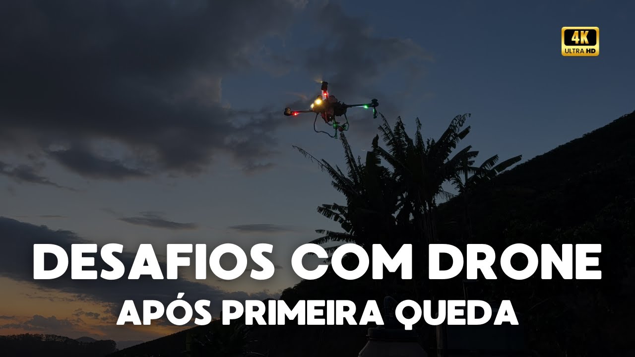 Desafios do voo após primeira queda
