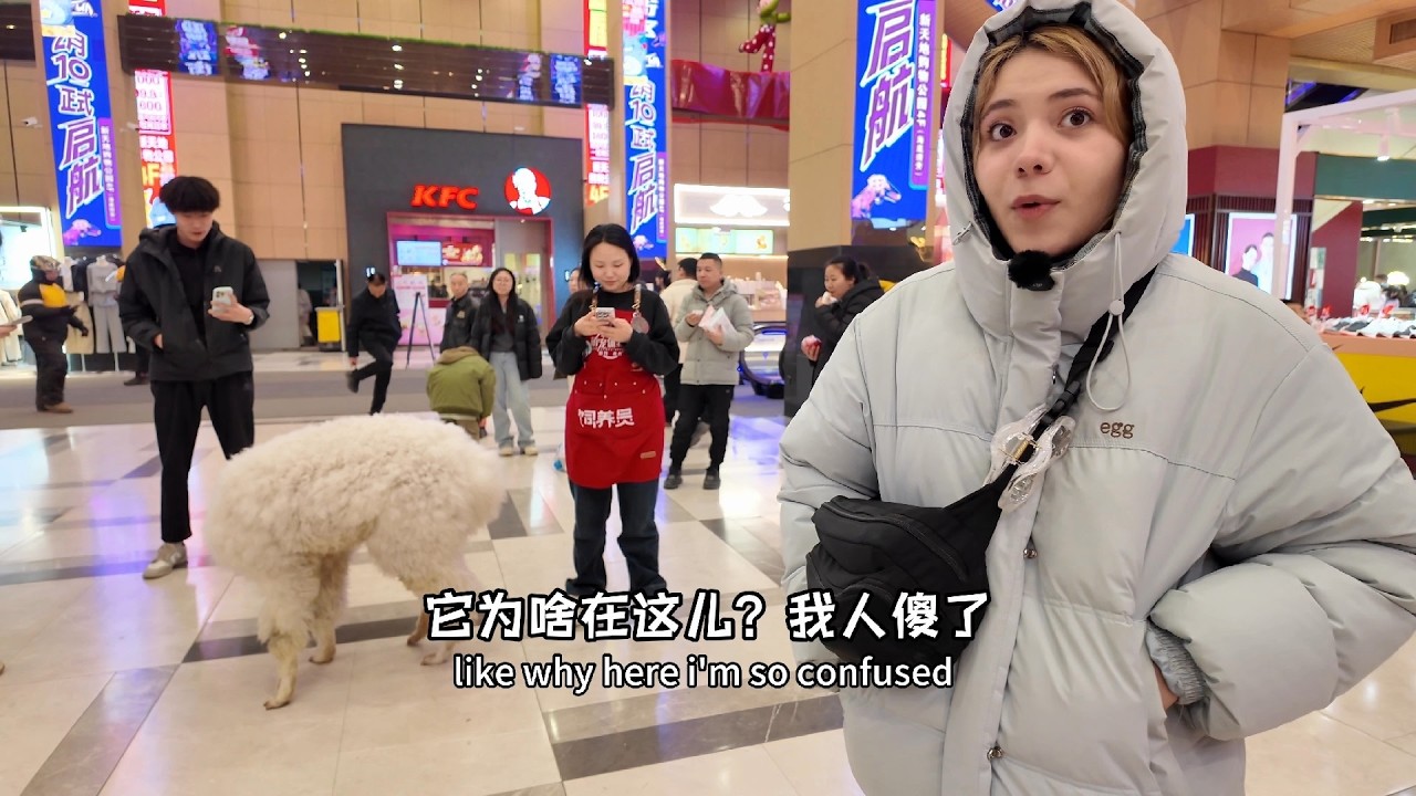 当美国女友走进了中国商场