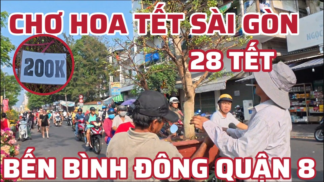 CHỢ HOA TẾT SÀI GÒN . BẾN BÌNH ĐÔNG QUẬN 8 GIÁ RẺ BẤT NGỜ CHIỀU 28 TẾT