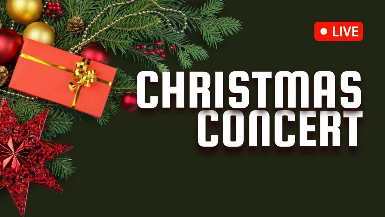 Golden Echoes Presents An Mini Christmas Concert (Orchestral Organ)