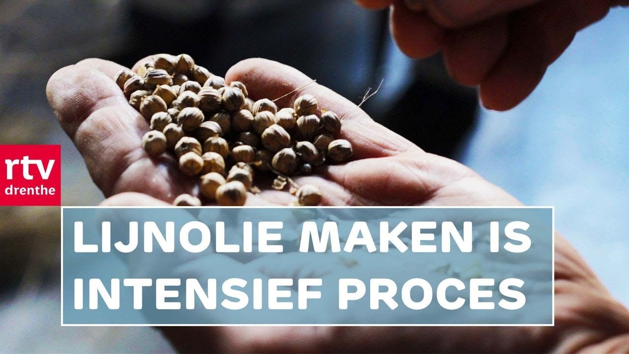 Hoe maak je lijnolie? | Haandwark | RTV Drenthe