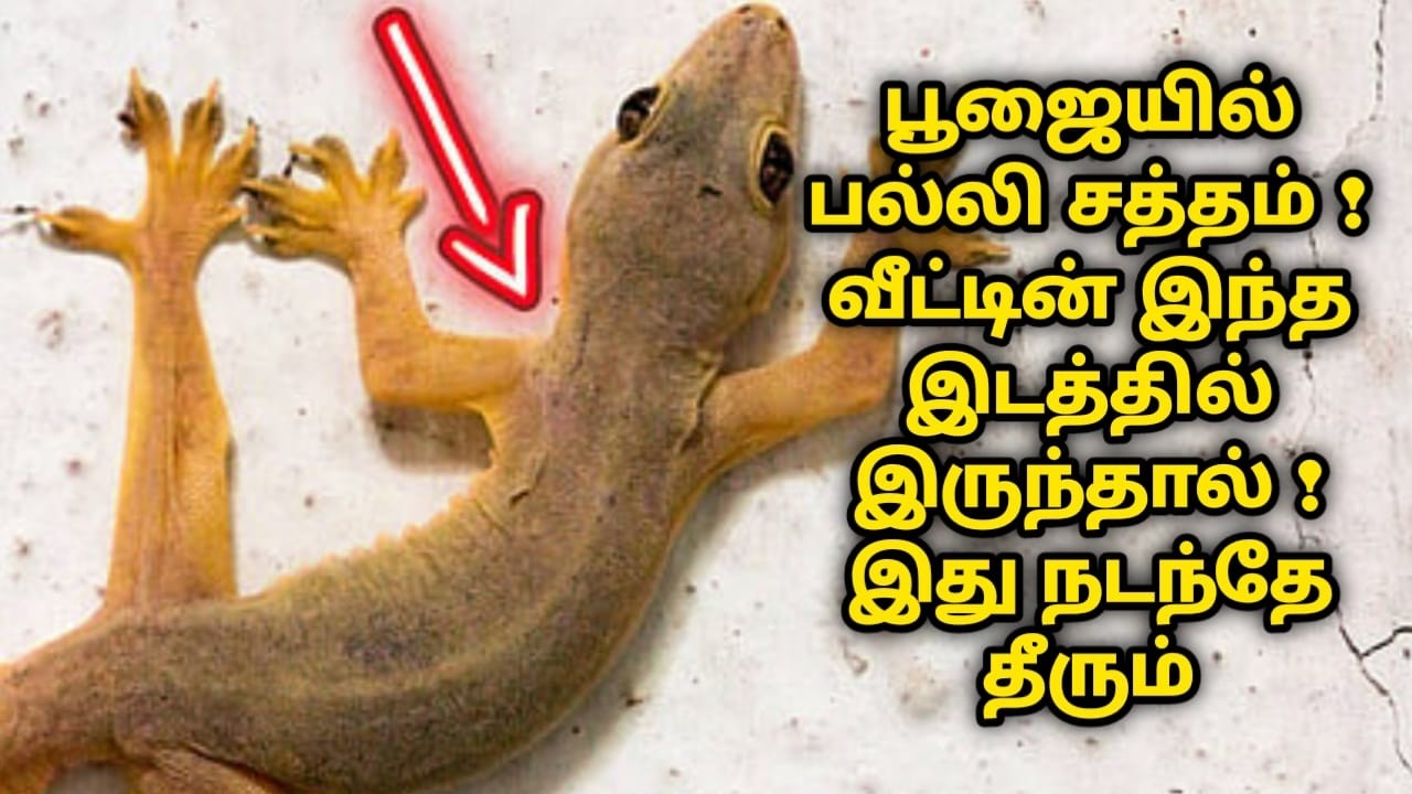 பூஜையில் பல்லி சத்தம்! வீட்டின் இந்த இடத்தில் இருந்தால் இது கட்டாயம் நடந்தே தீரும் pallipalan #பல்லி