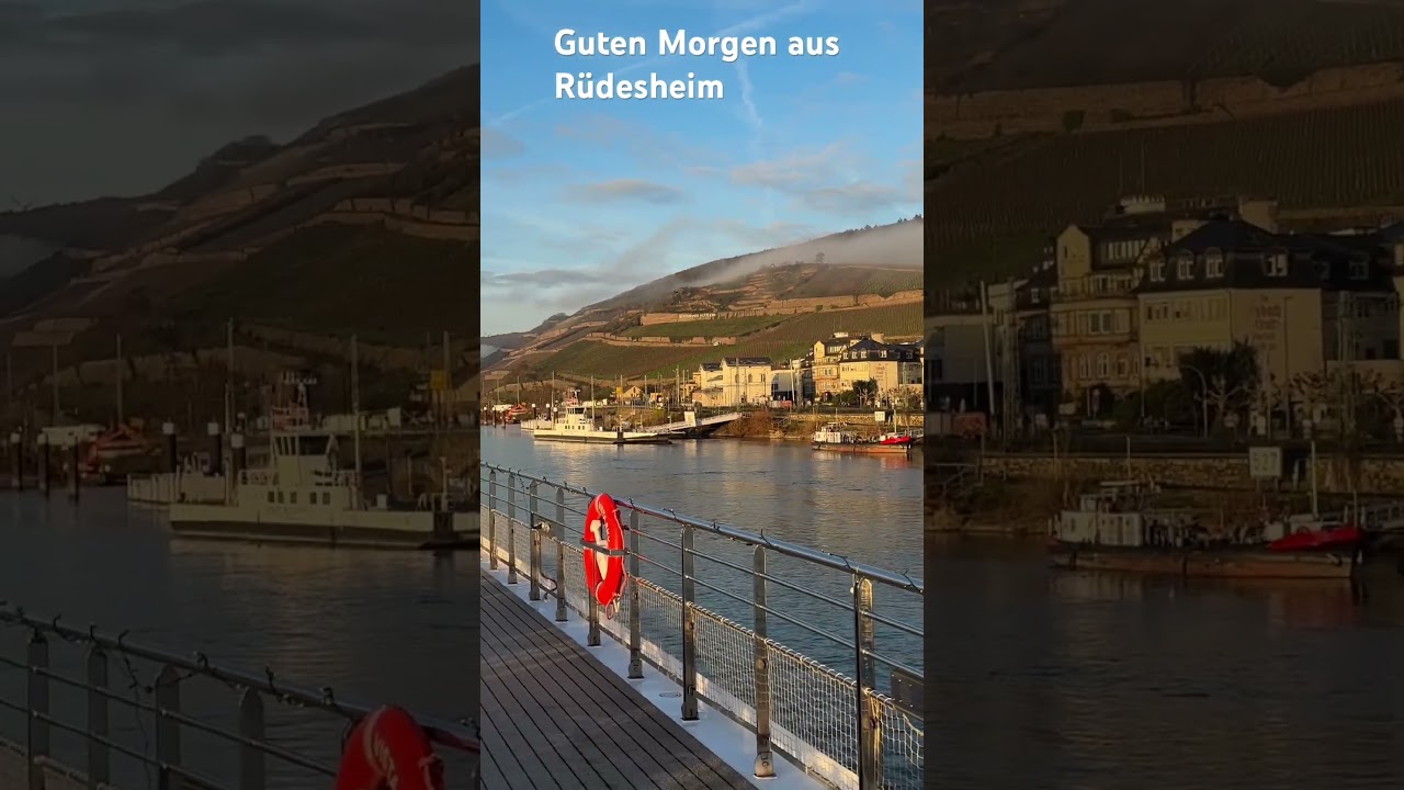 Guten Morgen aus Rüdesheim 