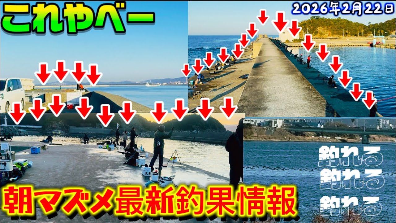 【最新】釣果情報✨連休中もココ‼️尺アジ釣れてます🐟✨釣果は水温と共にあがってます
