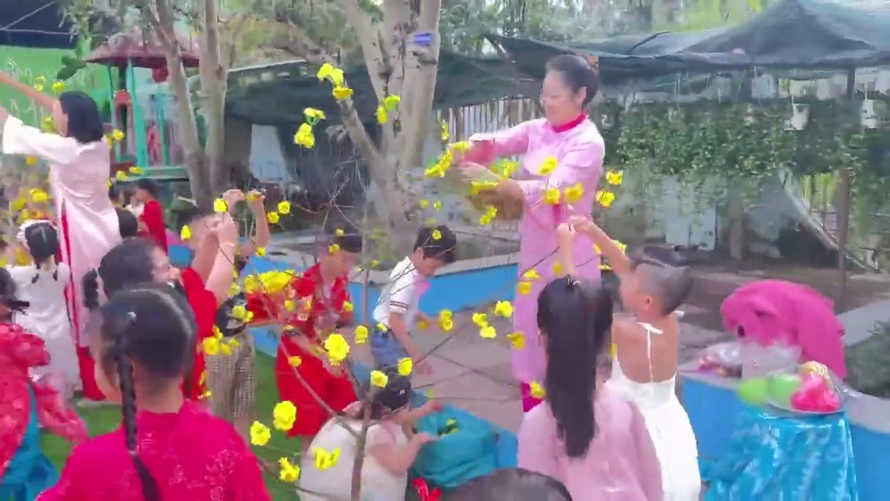 Hội thi Trang trí Mai Đào 2026. Mn Hoa Mai