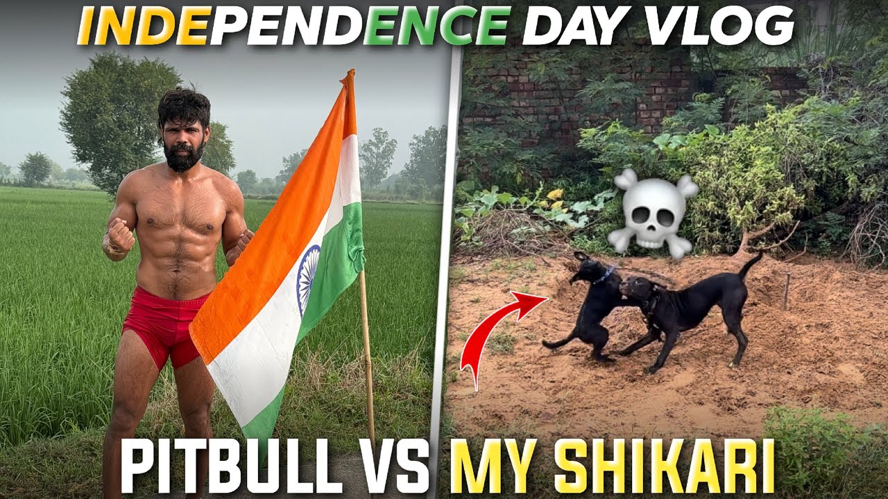 INDEPENDENCE DAY SPECIAL VLOG.
