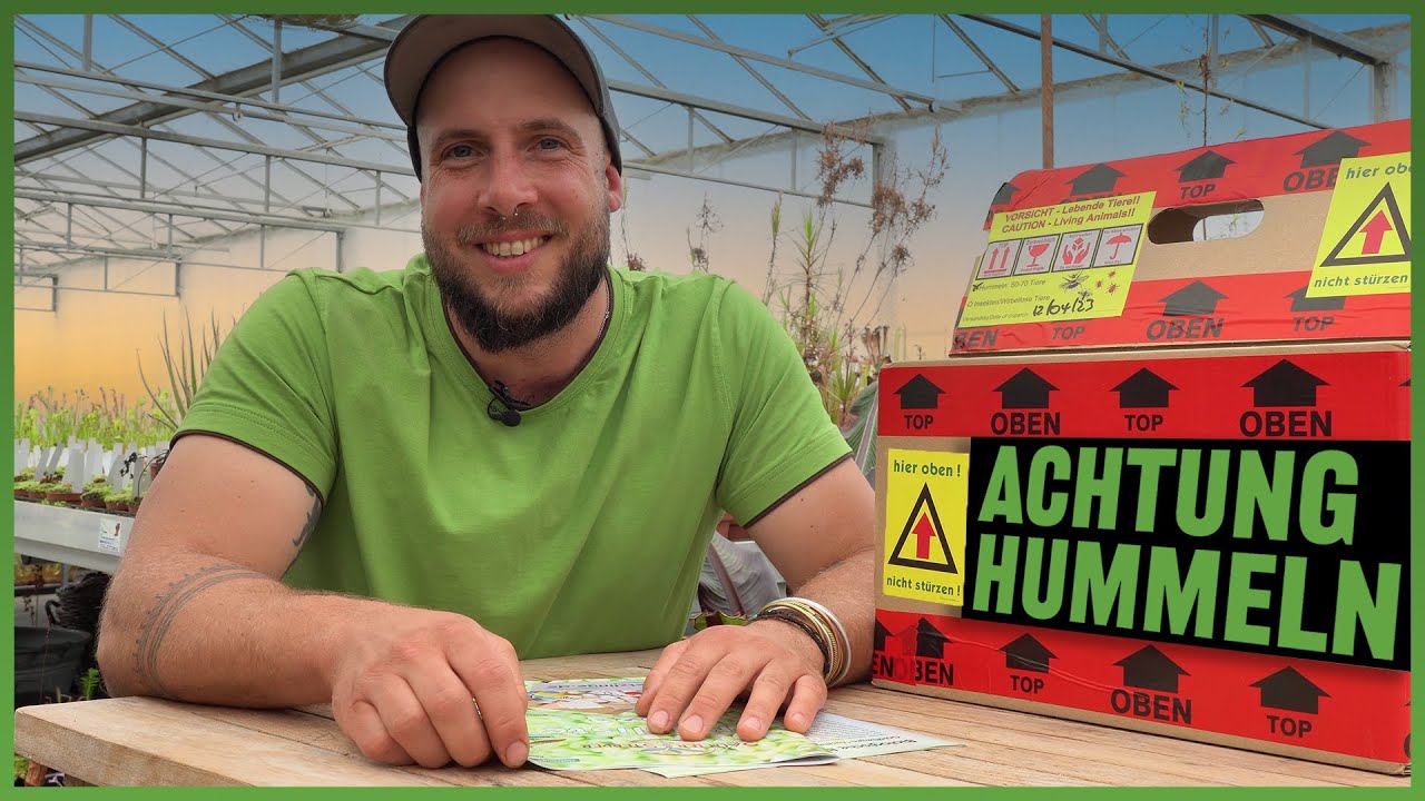 #222 Das Hummelprojekt, mehr Samen durch natürlich Bestäubung?