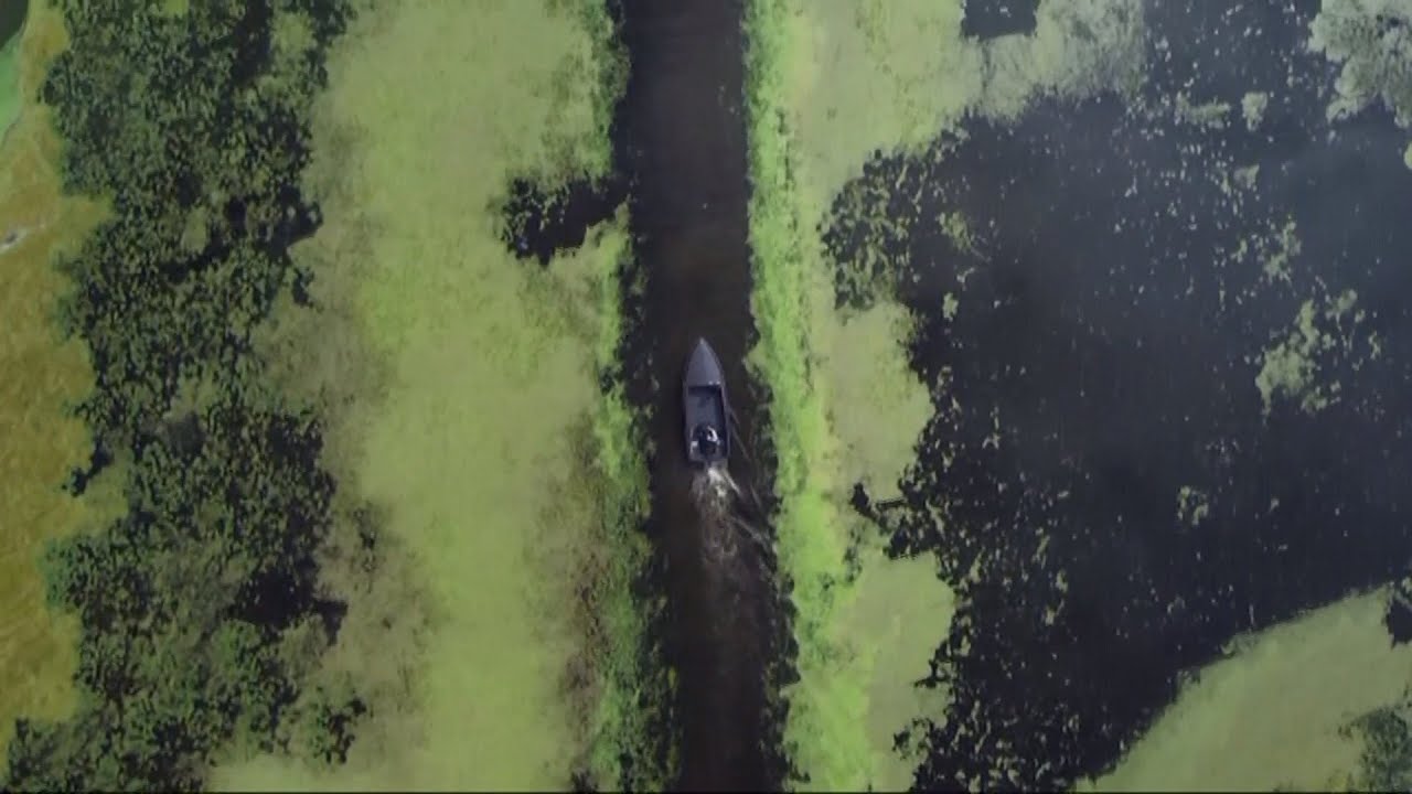 Lough Neagh: The year the UK's largest lake turned green (Northern Ireland/UK) 20/Aug/2025
