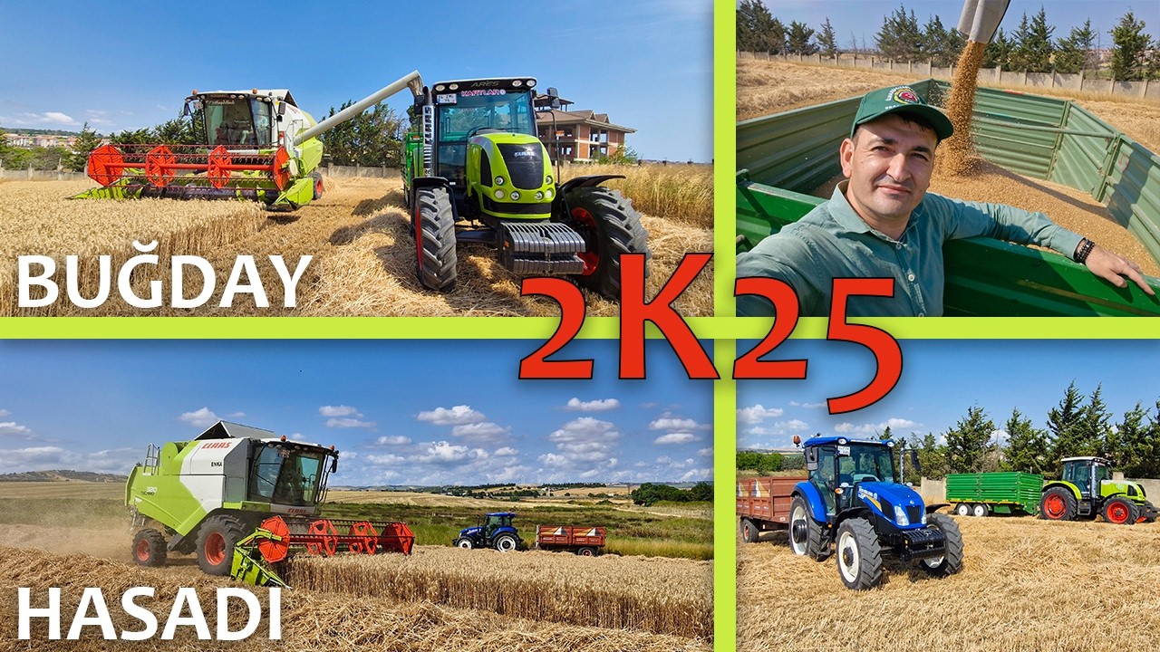 BUĞDAY HASADI - HAMZA & HALİS / CLAAS TUCANO 320 & ARES 557 ATX & NEW HOLLAND TD 100D 2K25....!!!!