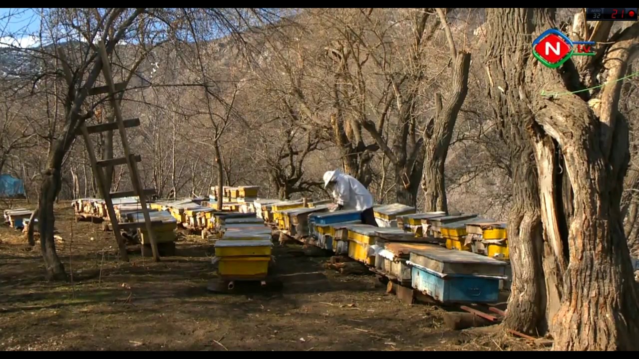 Ordubad rayonunun Bist kəndi   12.04.2017